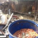 거송농장 이미지