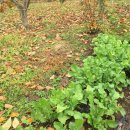 가고파식당 이미지