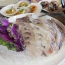 바다의 만찬 이미지