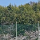 뚜레쥬르(호탄점) 이미지