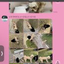 신나호텔 이미지