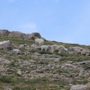 Mountain Goat (산 염소)를 만나다 이미지