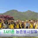 금강모치마을 이미지