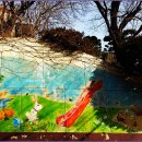 대전보건대학부속유치원 이미지