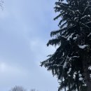2024-02-0042 | [삿포로 투어] 홋카이도 비에이 투어 후기! ❄️✨ 겨울 왕국 같은 풍경 속으로 🚍 part.02