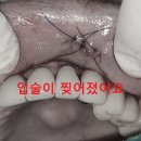 단대오거리 1번출구 앞 이미지
