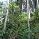 남원읍-54 이미지