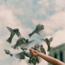 사랑의연못 이미지