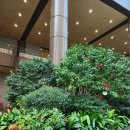 개진주유소 | Personal Assistant(개인 비서)가 생긴 후 나의 변화