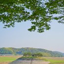 도산도서관 | 안동여행코스, 도산서원 (주차요금, 포토존)