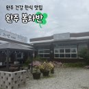 봄차반 | [완주 봄차반] 완주 맛집 추천 - 완주 봄꽃정식, 봄차반정식 후기 - 완주 건강식