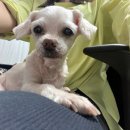 부흥공원 이미지