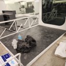 뉴온리짐 이미지