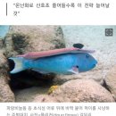 토,일,,,범사 이미지