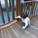 봉봉이 놀이터 이미지