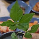 창룡대로 이미지