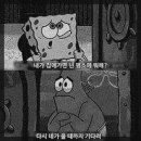 오느른 이미지