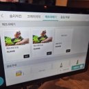 구미 봉곡동 과메기 맛집 - 해초과메기 봉곡점 / 솜리치킨