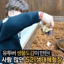 에코식물 생태도감 | 유투버 생물도감이 만든 구리 아이랑 가볼만한 곳 521생태체험장 생태테마파크 - 직접 만져보는 체험...