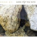 예체문화관 건승체련관 체육관 | 한풍루의 사진을 공개합니다요 흐흐흐 [진묵도예 김상곤]