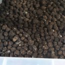 김정환농장 이미지