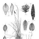 지사초등학교 이미지