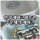 케이크미술관 | #내돈내산 [안성] 케이크 미술관 주문제작 케이크 후기