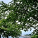 시크릿블루 카페&펜션 이미지