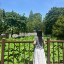 장미 수국 가득한 전주 수목원 꽃구경 후기 !! 전주 여행 추천 코스