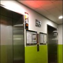 홍정 | 여기가 강남인생사주 사주궁합보러 갔다가 소름돋고 온썰 홍정자연오행연구소 솔직후기