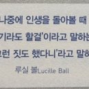 홍주신발 네이버블로그