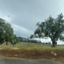 연수시티주유소 | [🇦🇺DAY 10] 샹그리릴리라릴라