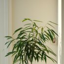 모월농장 이미지