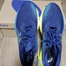 아식스롯데김포공항점 | 김포공항 롯데몰 S Market 에서 빅사이즈(300) 신발...HOKA M BONDI 8 X-WIDE, 아식스 노바블라스트4