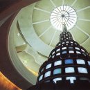 비디오플러스 책 이미지