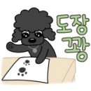 루비펫살롱 이미지