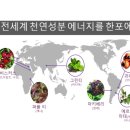 아실리코리아