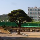 문경여자고등학교 이미지