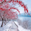 겨울 시 /모음. 이미지