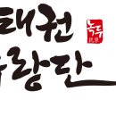 태권유랑단 녹두 이미지