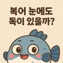 대해복어식당 이미지