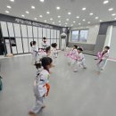 강한아이태권도장 이미지