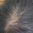 (주)놀라운맥주 이미지