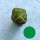 [품절]희귀다육 바클리(Crassula barklyi) 특별판매 이미지