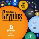 2025년 세계 최대 암호화폐 이미지