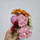 후르츠픽 이미지