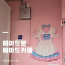 홍대 이색카페 메이드문 메이드카페 방문 후기 라이브쇼 관람