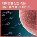 내장지방 타파를 위한 근력 &amp; 유산소 운동 &amp; 타이트한 남성 속옷, 정자 생산 줄인다 이미지