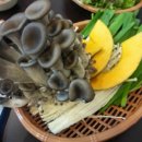 덕담오리 이미지