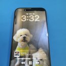 경산아이폰수리애플탑 | 성서아이폰수리 애플텍에서 15pro액정 파손 완벽하게 부활시킨 후기